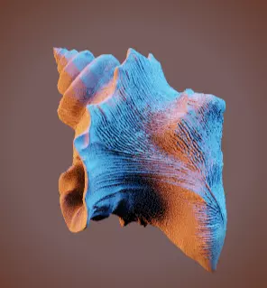 Conch Shell 1 Low-poly 3D model_12