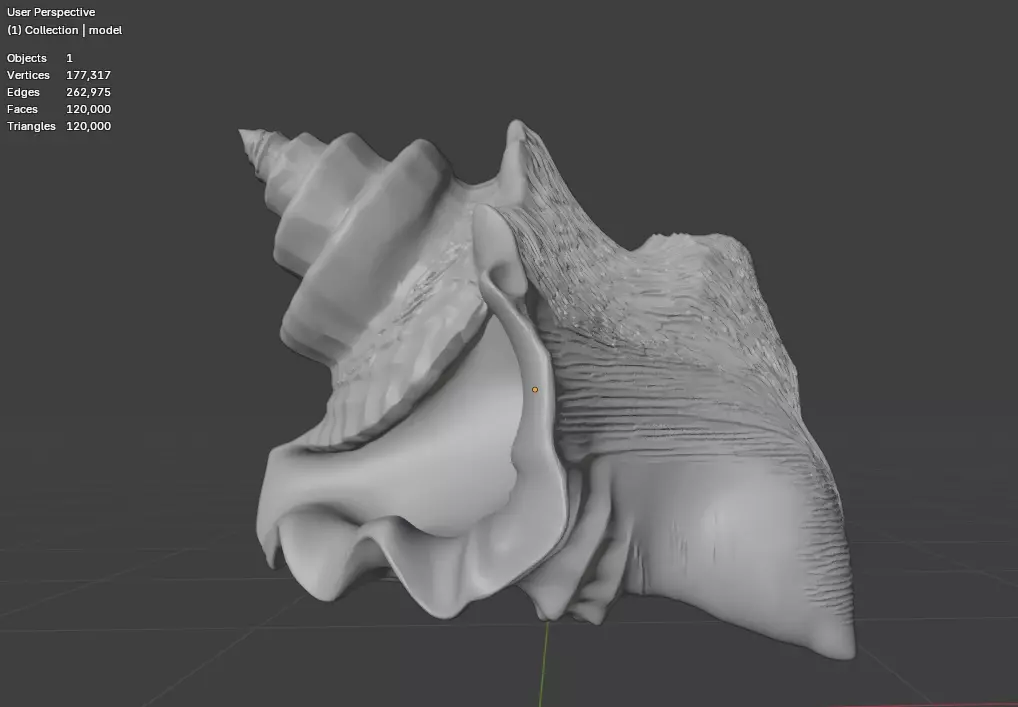 Conch Shell 1 Low-poly 3D model_4