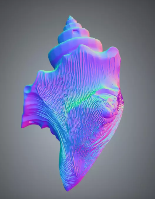 Conch Shell 1 Low-poly 3D model_7