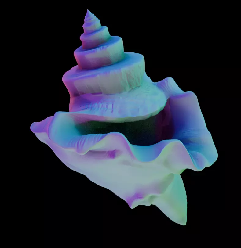 Conch Shell 1 Low-poly 3D model_1