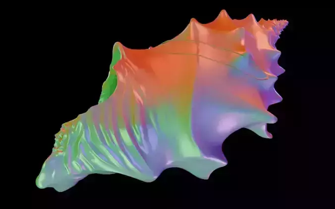 Conch Shell 3 Low-poly 3D model