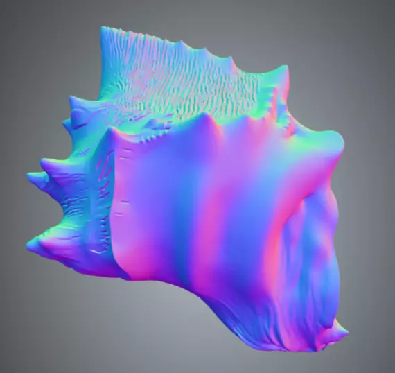 Conch Shell - 4 Low-poly 3D model_5