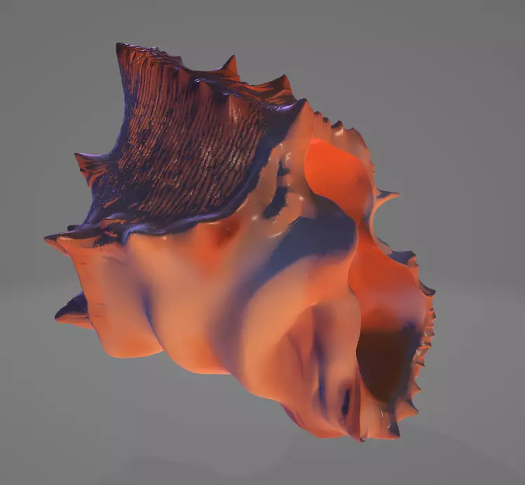 Conch Shell - 4 Low-poly 3D model_2