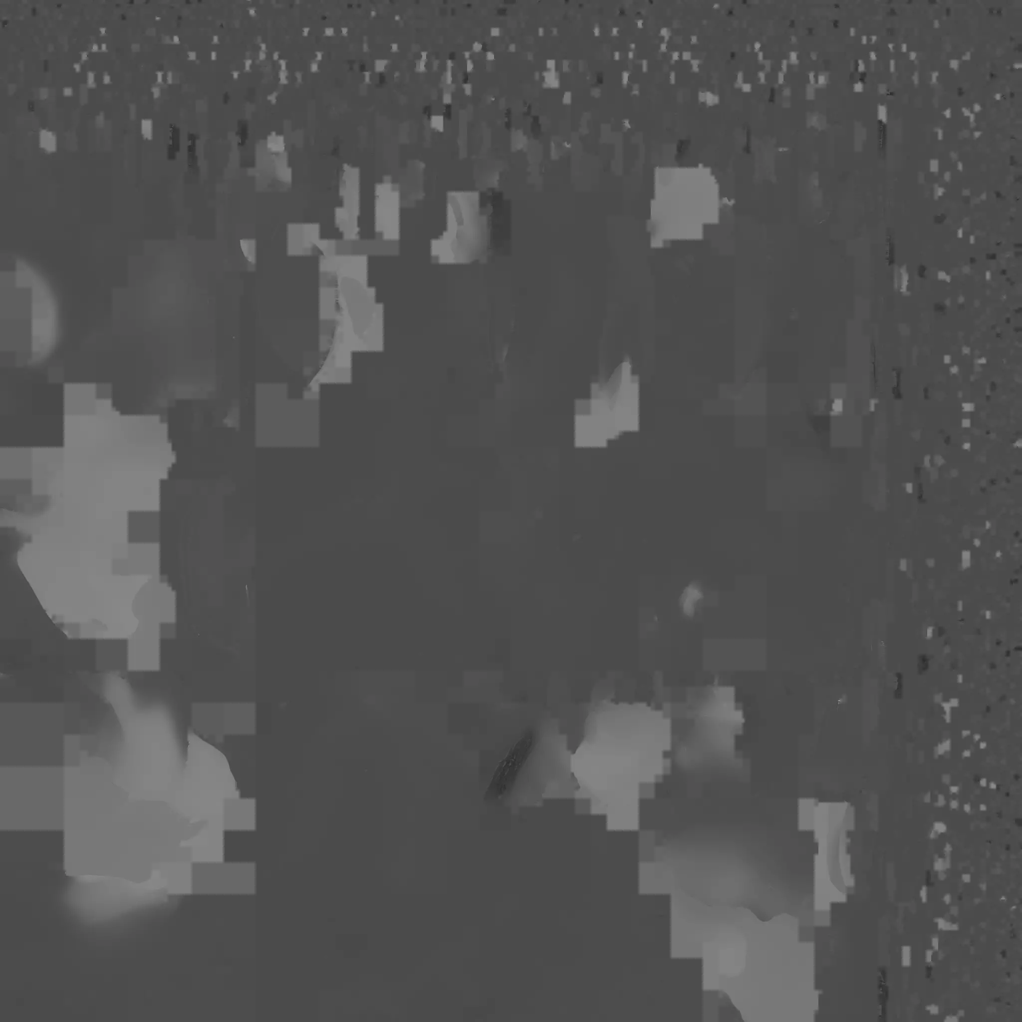 Conch Shell - 4 Low-poly 3D model_14