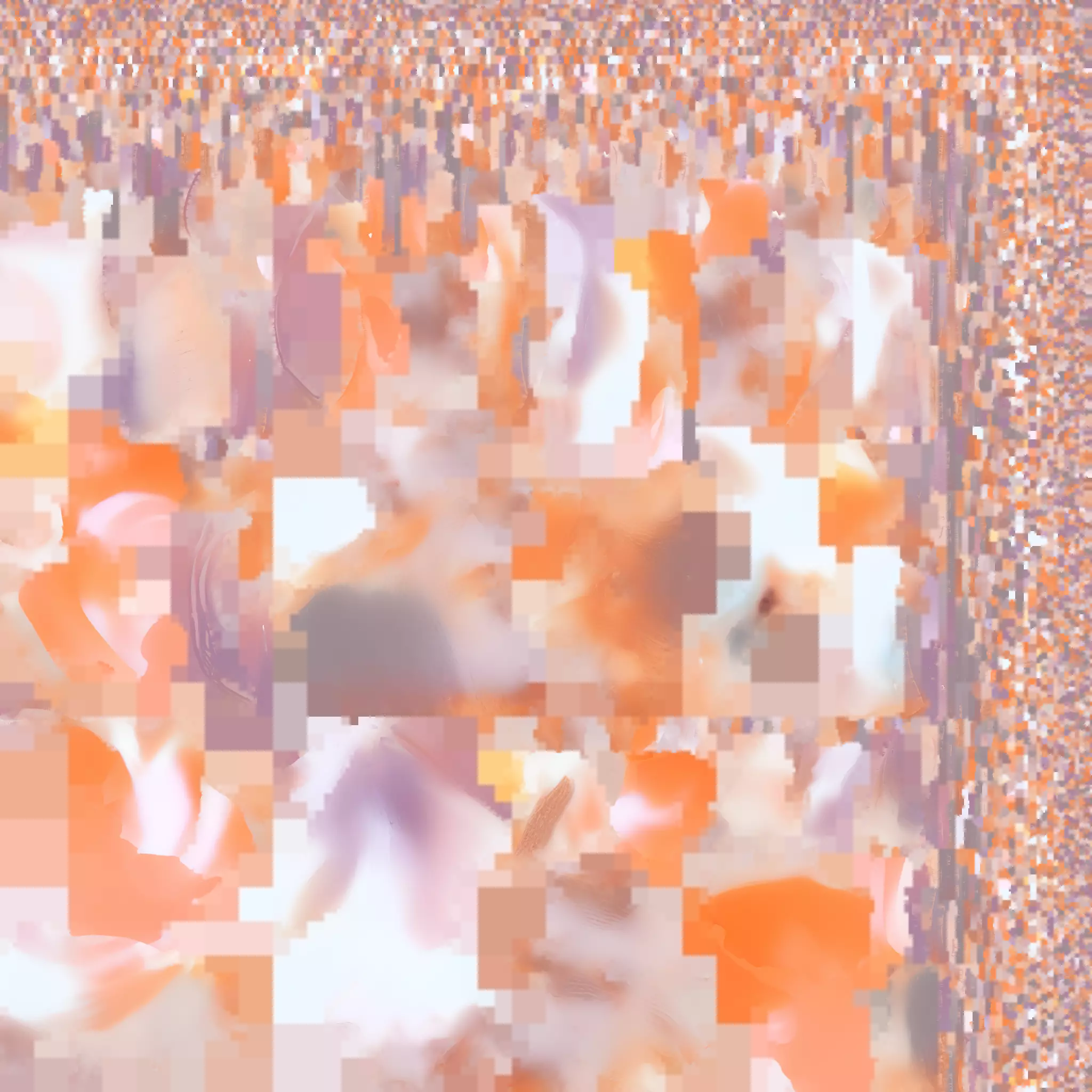 Conch Shell - 4 Low-poly 3D model_10