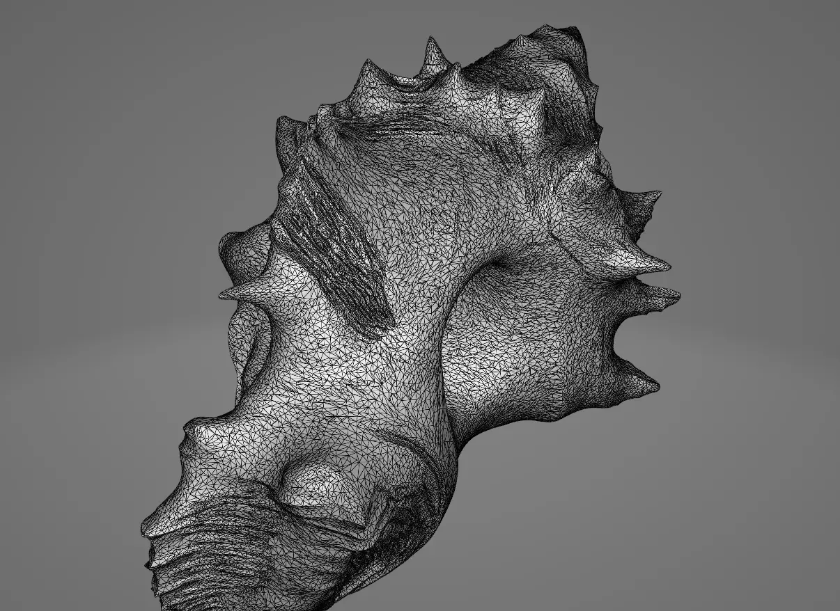 Conch Shell - 4 Low-poly 3D model_3