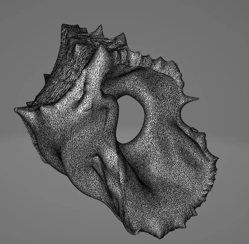 Conch Shell - 4 Low-poly 3D model_4