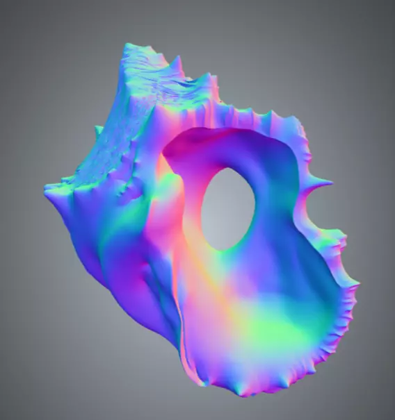 Conch Shell - 4 Low-poly 3D model_7
