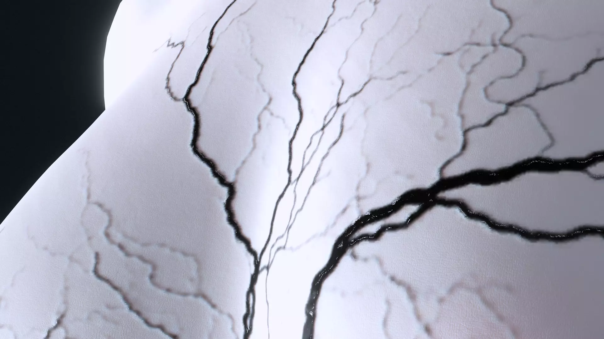 Dark Fantasy Female Character High Detail 3D Model Low-poly 3D model_14