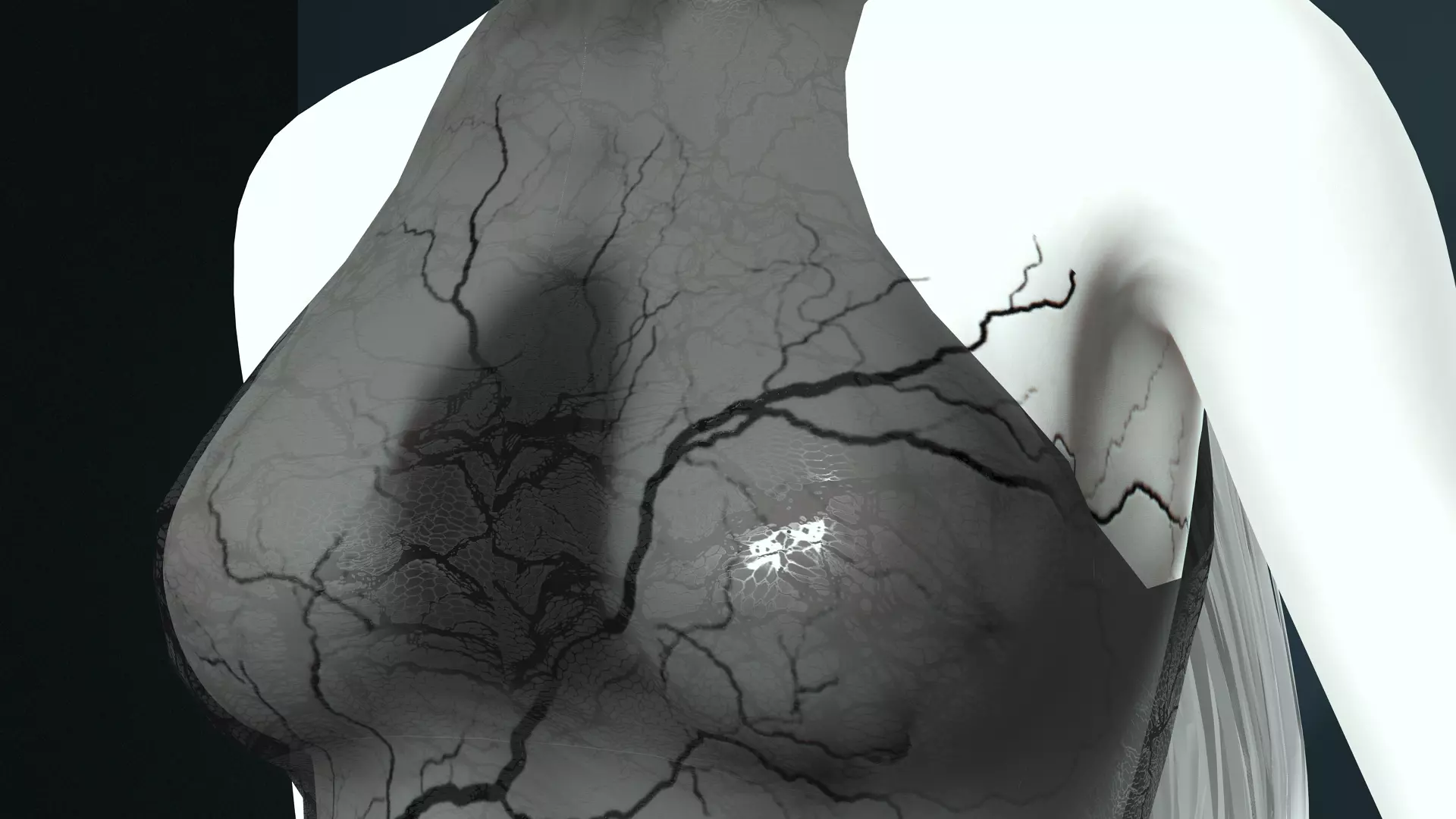 Dark Fantasy Female Character High Detail 3D Model Low-poly 3D model_13