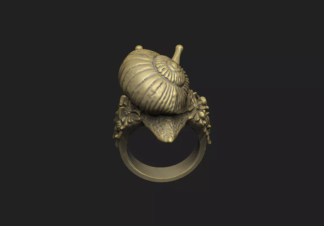 snail shell gastropod mollusk nature wild organic spiral  3D print model_5