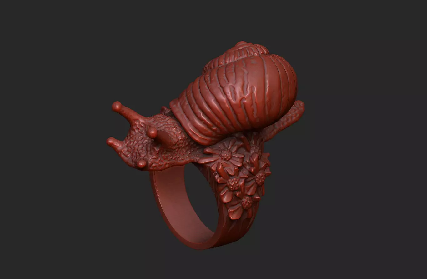snail shell gastropod mollusk nature wild organic spiral  3D print model_9