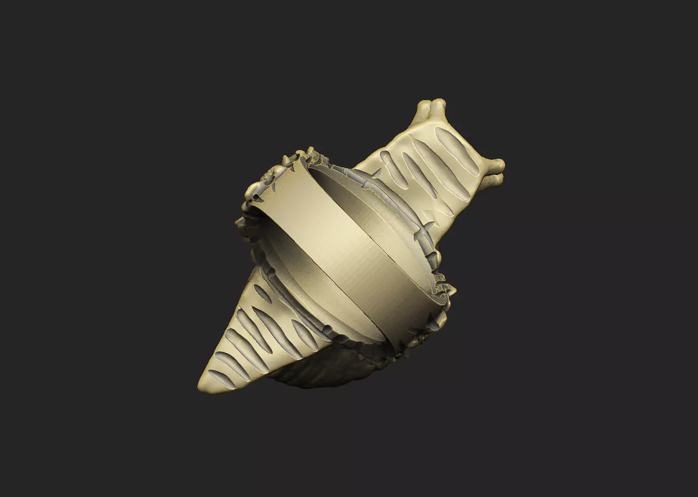 snail shell gastropod mollusk nature wild organic spiral  3D print model_6