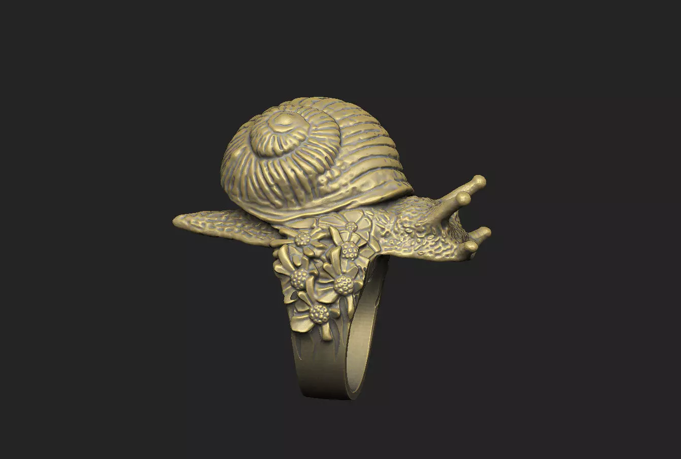 snail shell gastropod mollusk nature wild organic spiral  3D print model_1