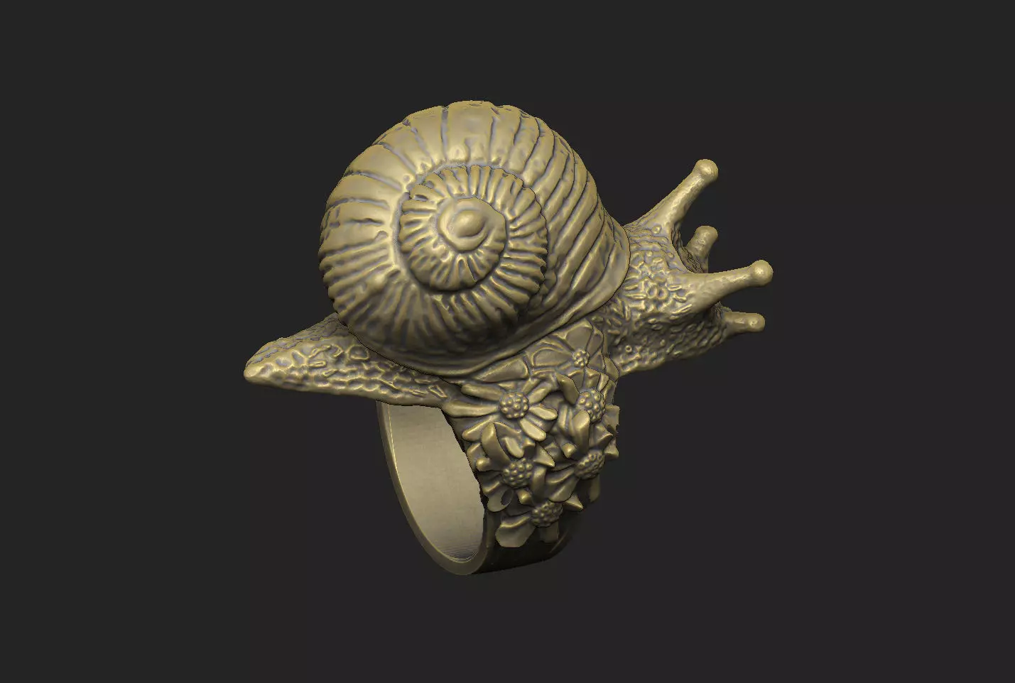 snail shell gastropod mollusk nature wild organic spiral  3D print model_0