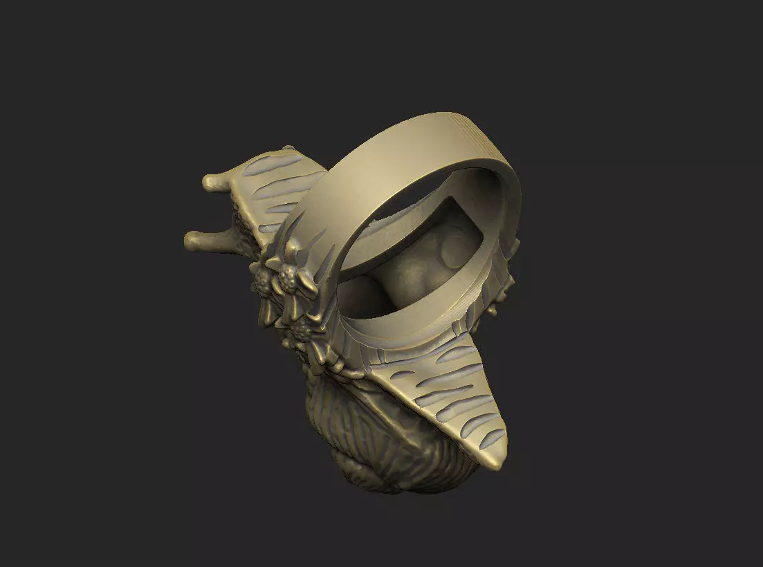 snail shell gastropod mollusk nature wild organic spiral  3D print model_8