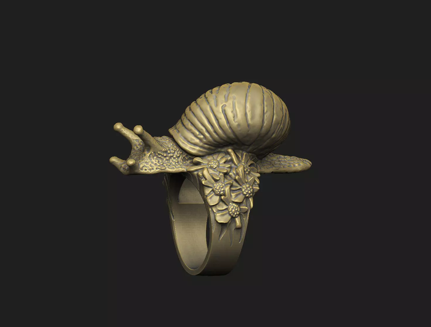 snail shell gastropod mollusk nature wild organic spiral  3D print model_2