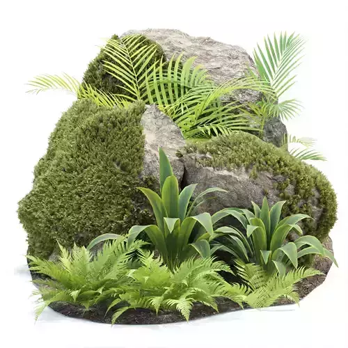 Rock and Tropical Plants 3D Model Collection Vol 297