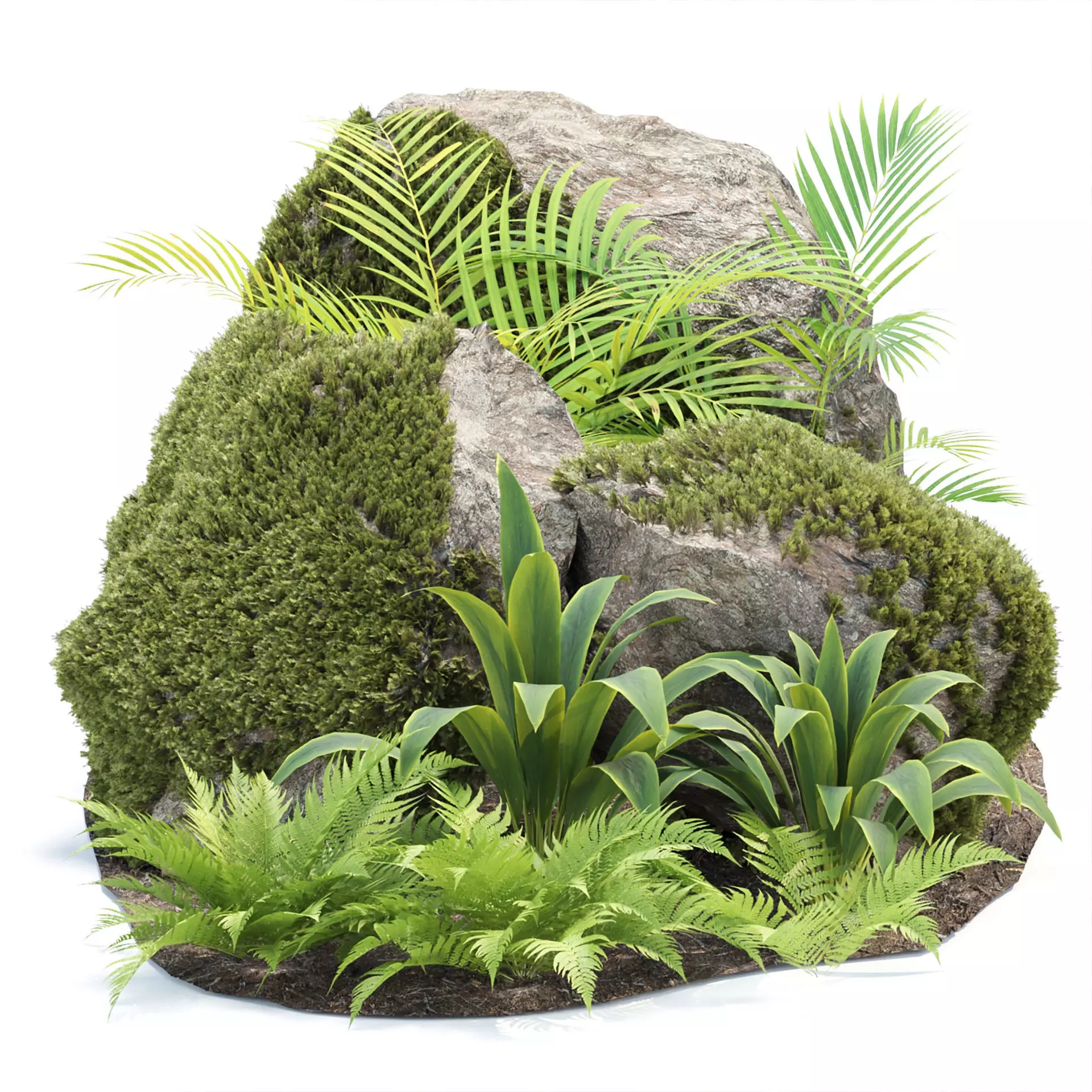 Rock and Tropical Plants 3D Model Collection Vol 297 Low-poly 3D model_0