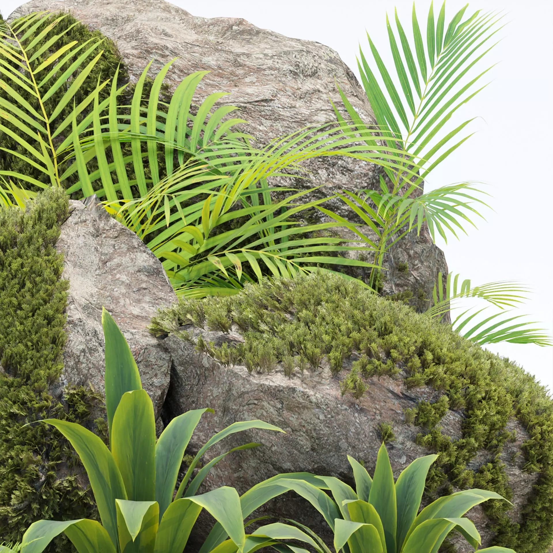 Rock and Tropical Plants 3D Model Collection Vol 297 Low-poly 3D model_2