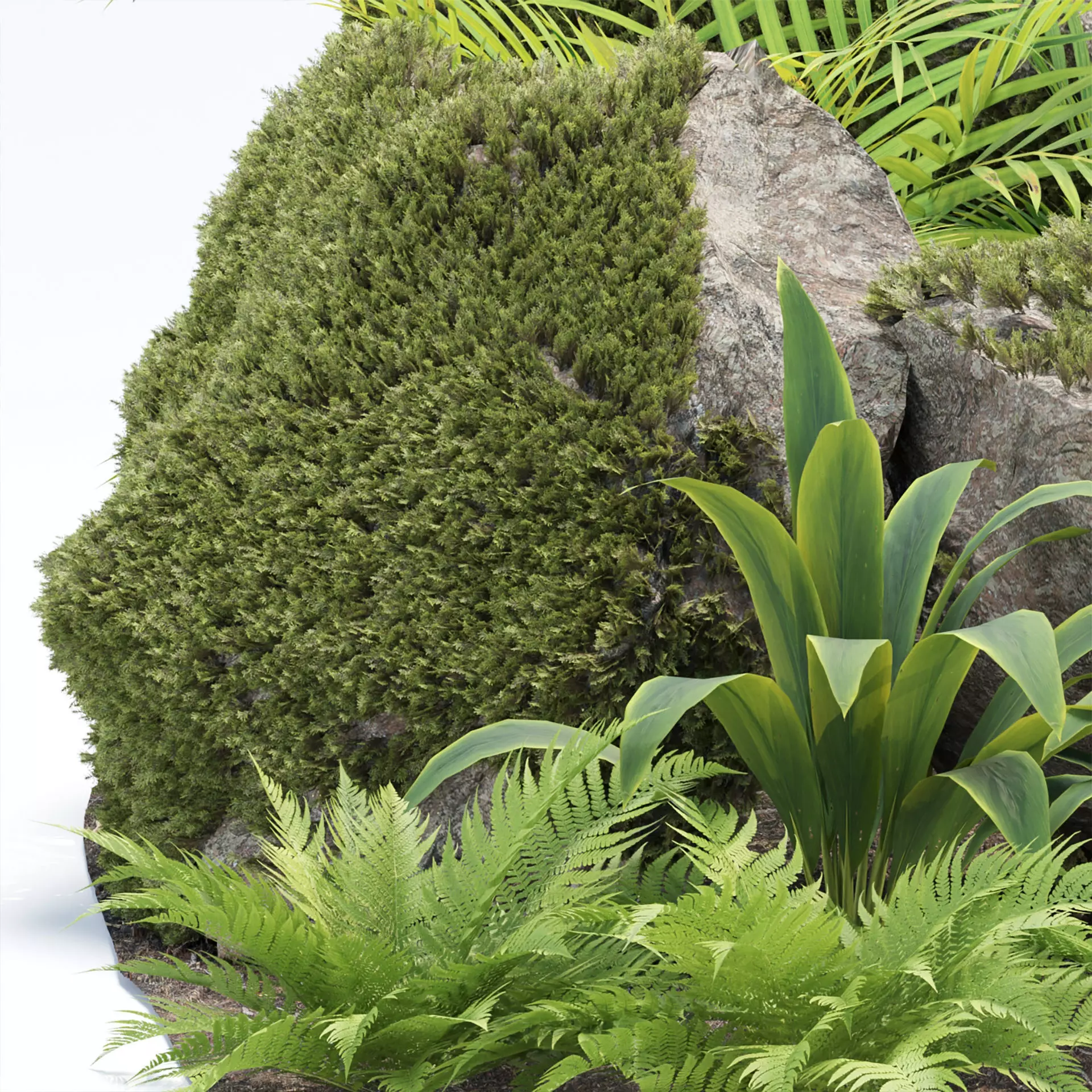 Rock and Tropical Plants 3D Model Collection Vol 297 Low-poly 3D model_1
