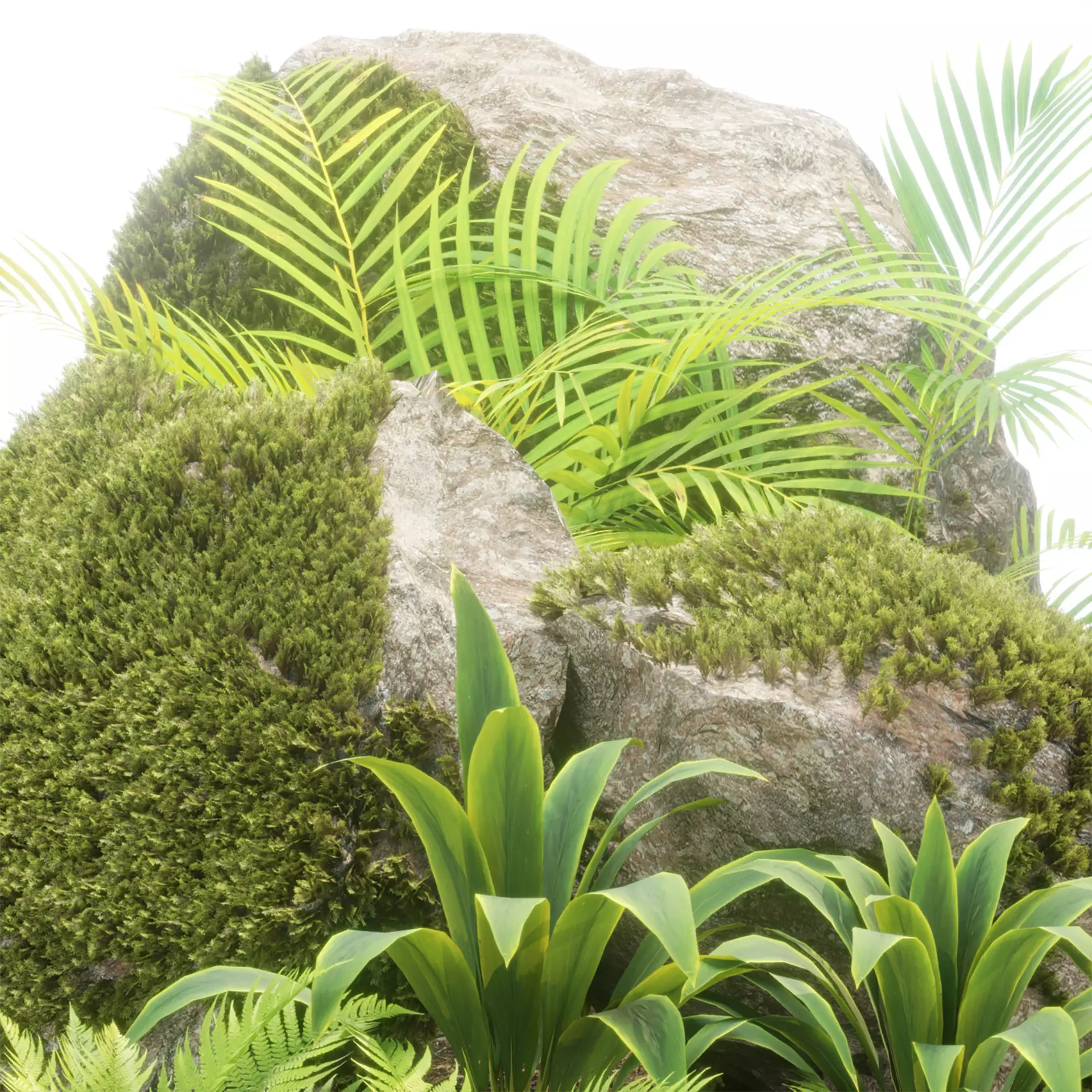 Rock and Tropical Plants 3D Model Collection Vol 297 Low-poly 3D model_3