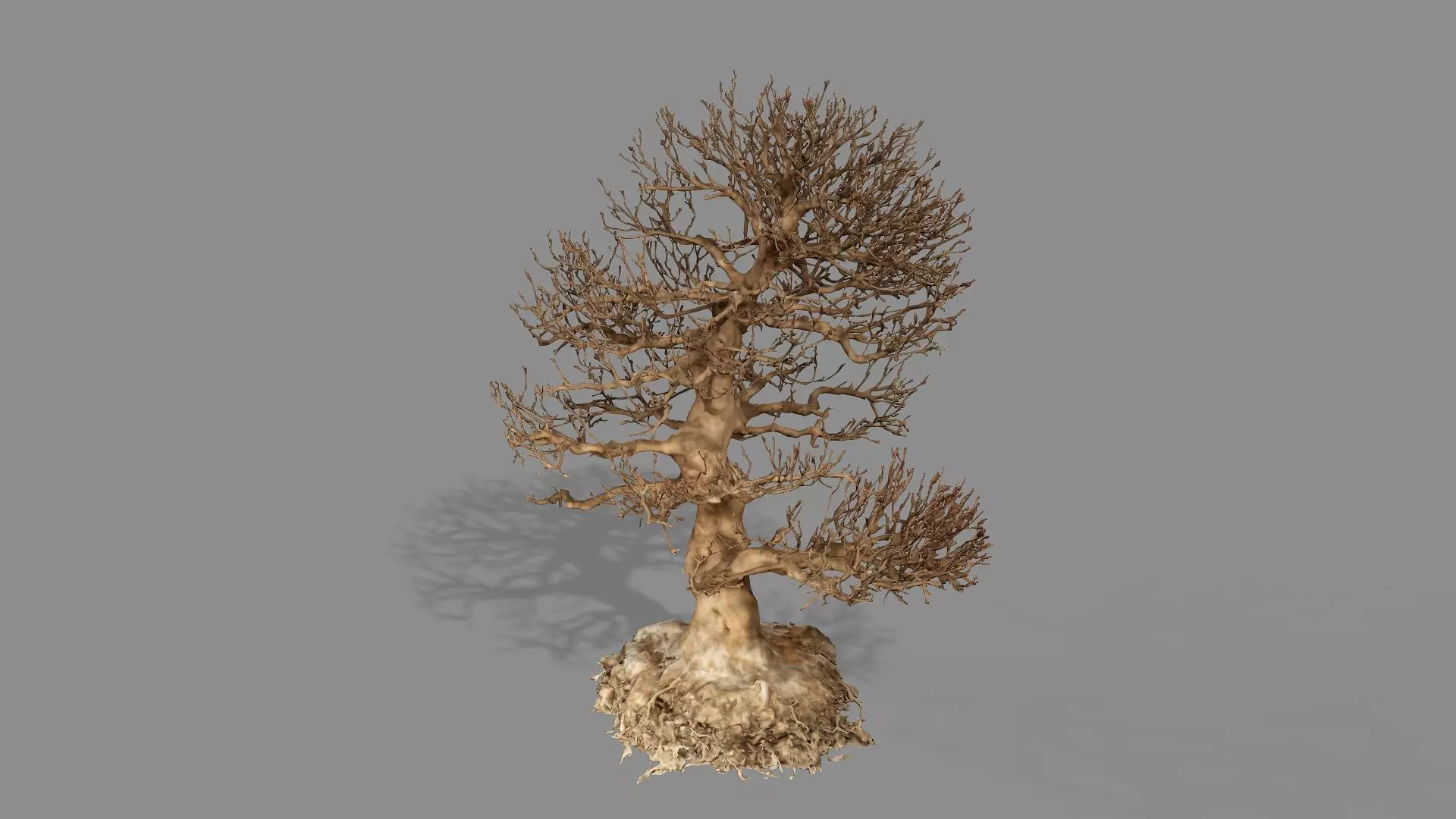 Dead Chimney Bonsai Tree X3 Low Poly 3D Model Low-poly 3D model_2