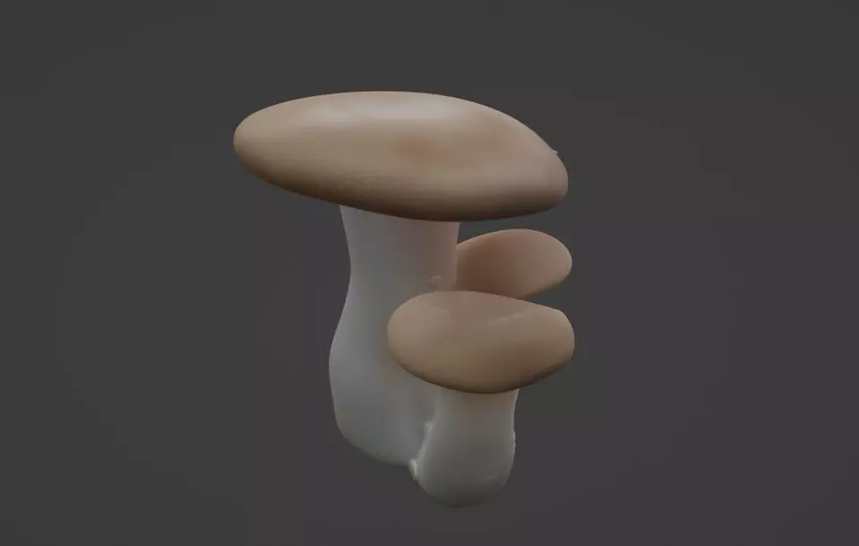 Mushroom game ready asset  3D model_3