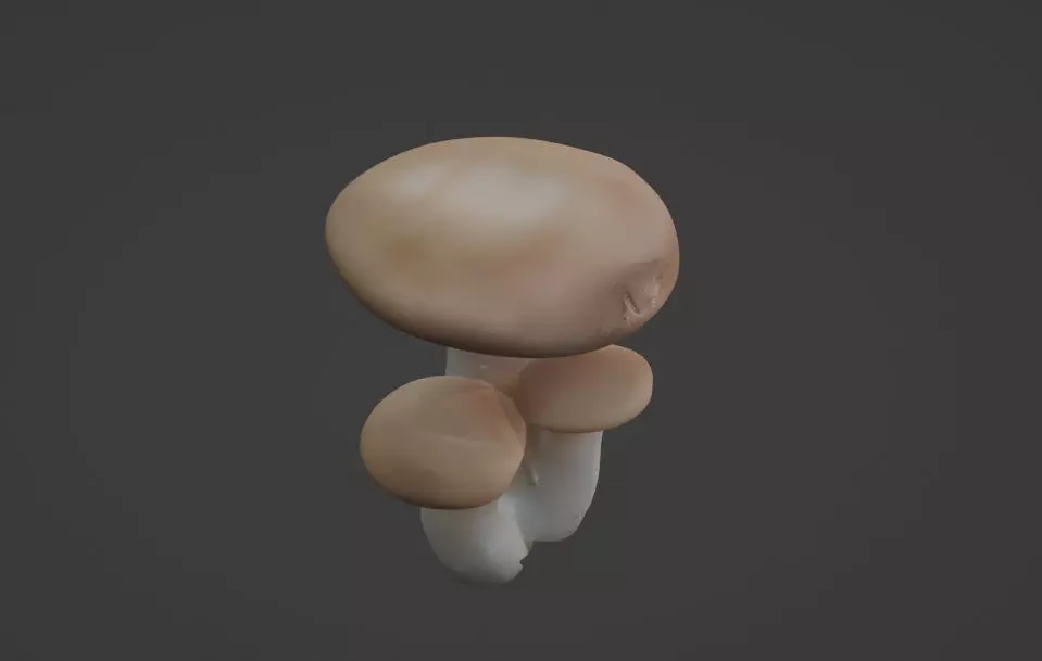 Mushroom game ready asset  3D model_4
