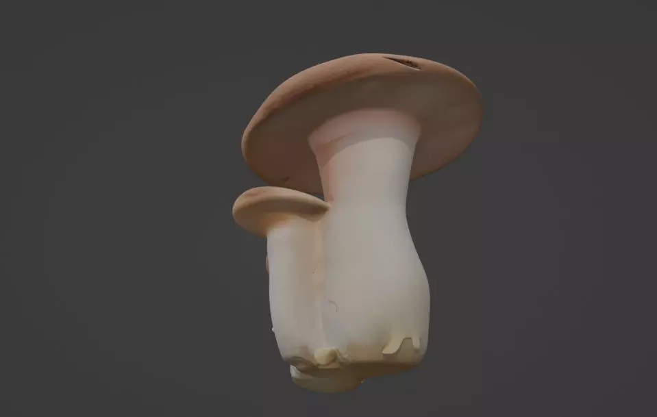 Mushroom game ready asset  3D model_2