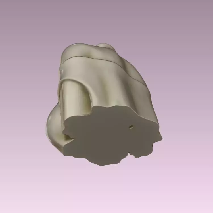 woman bust Planter 3D print model_4