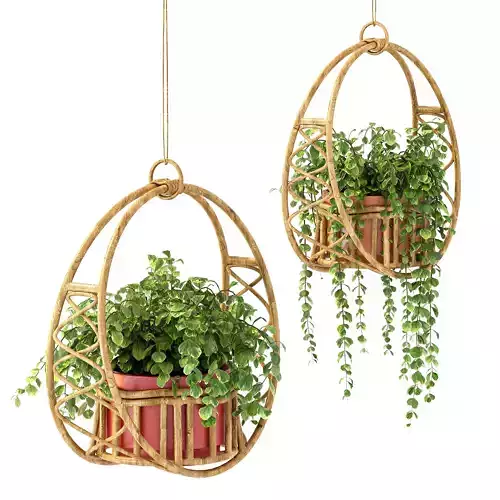 Boho Hanging Plants 05