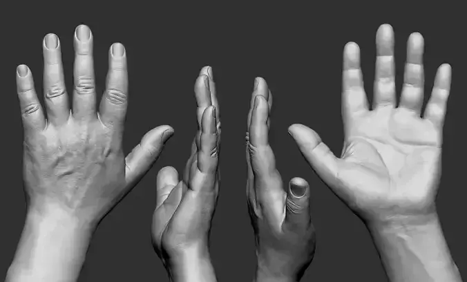 Realistic human hand aged 60 years RA