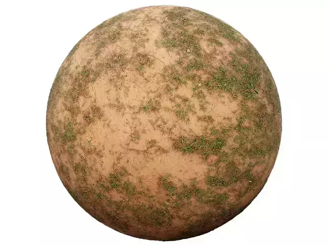 Sparse Grass on Dry Soil 