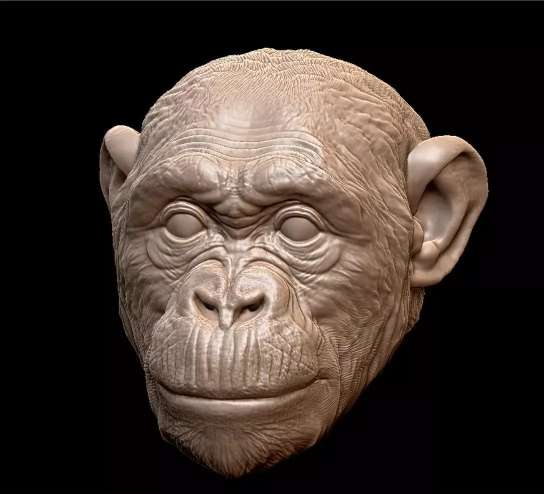 Chimpanzee Monkey Statue Modular 3D print model_11