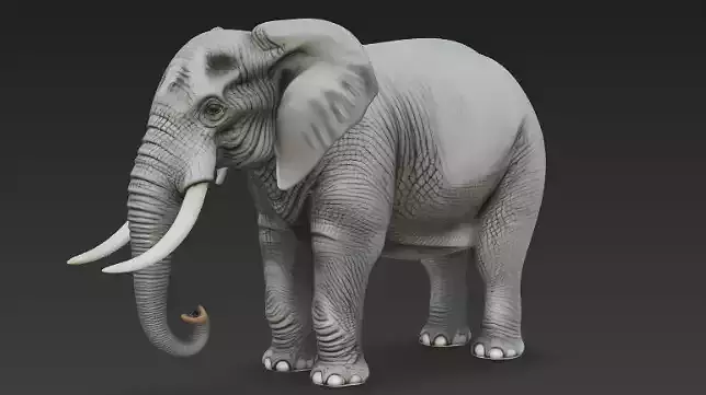 Realistic African Elephant 3D Model High Detail Wildlife 