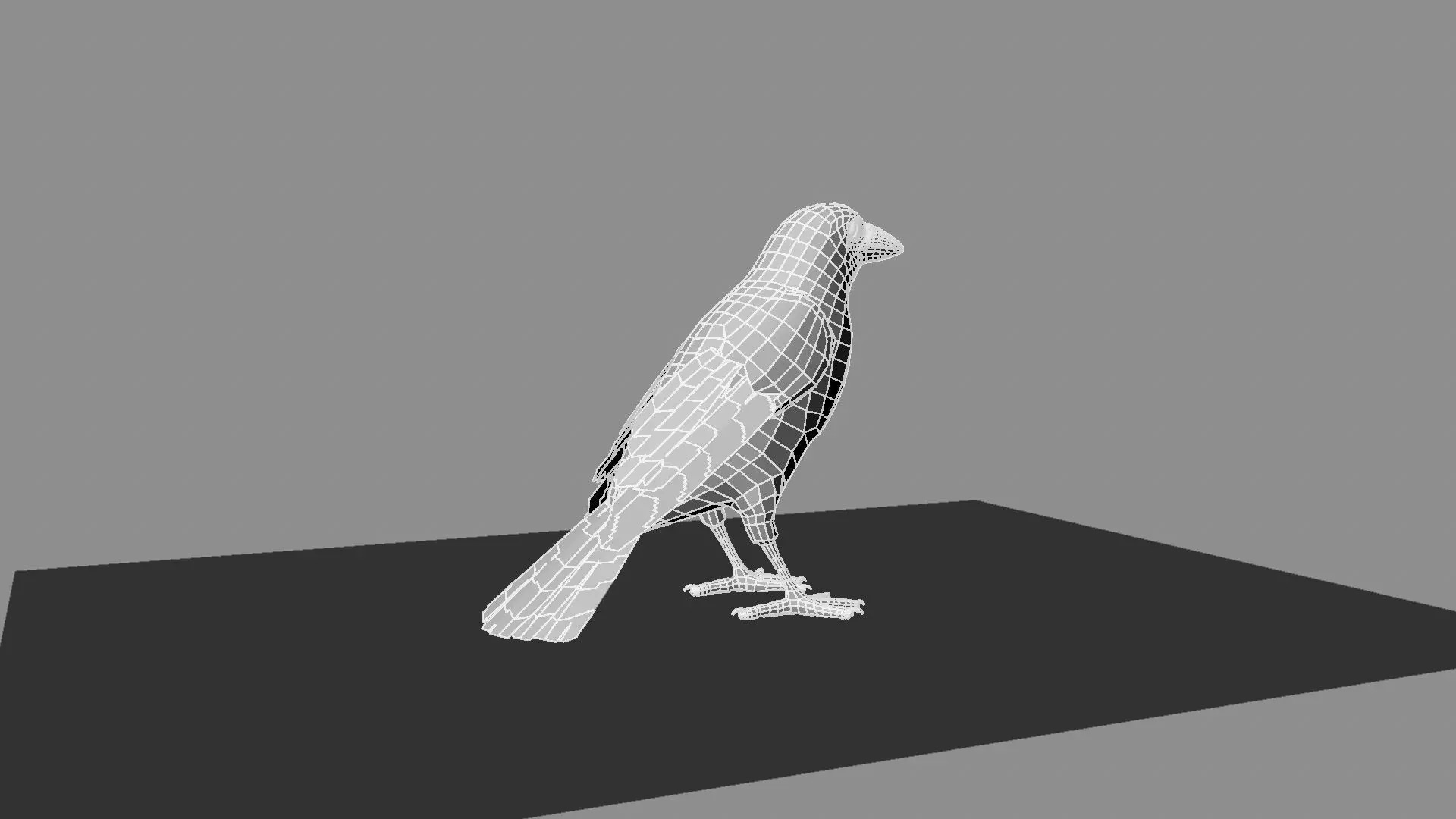 Blue winged mountain tanager close wings 3D model_25