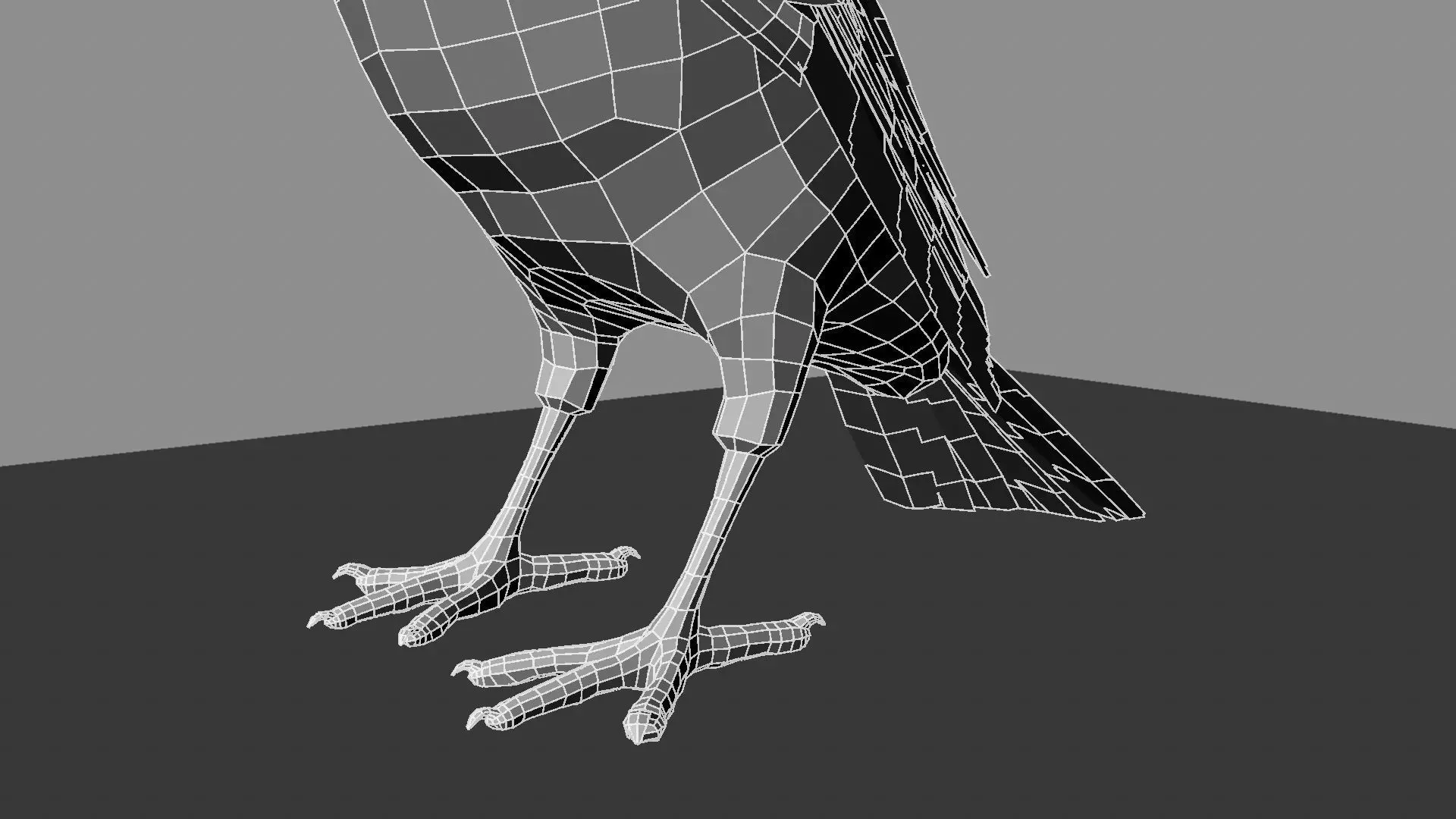 Blue winged mountain tanager close wings 3D model_30