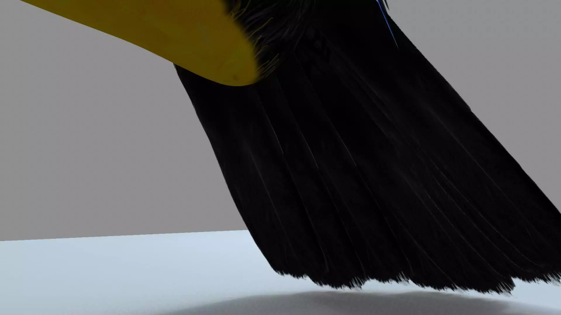 Blue winged mountain tanager close wings 3D model_8