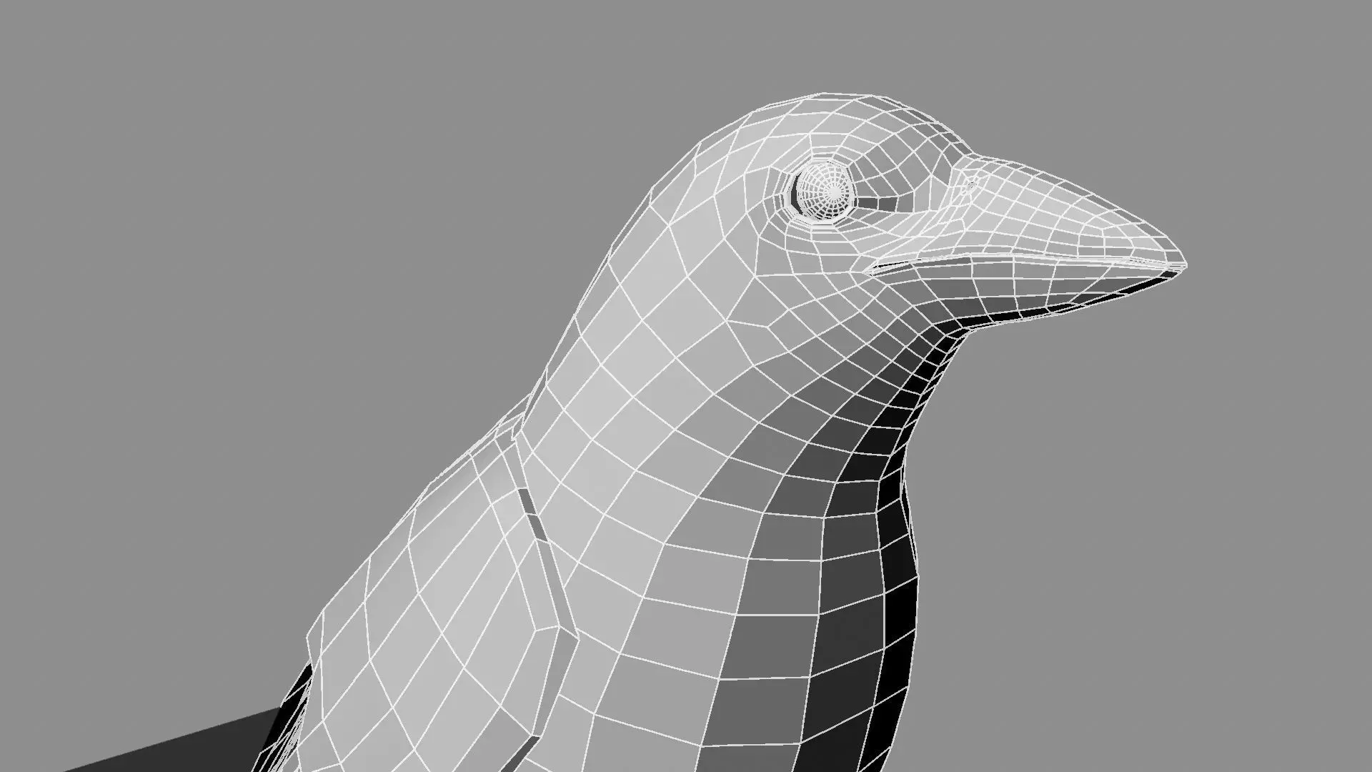 Blue winged mountain tanager close wings 3D model_28