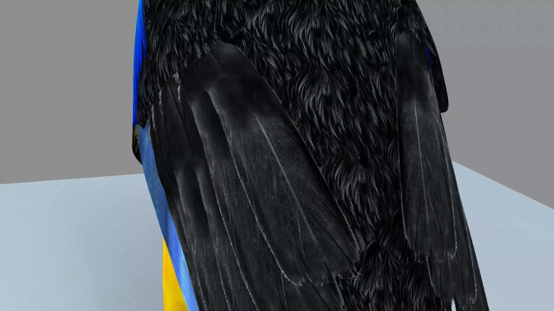 Blue winged mountain tanager close wings 3D model_14