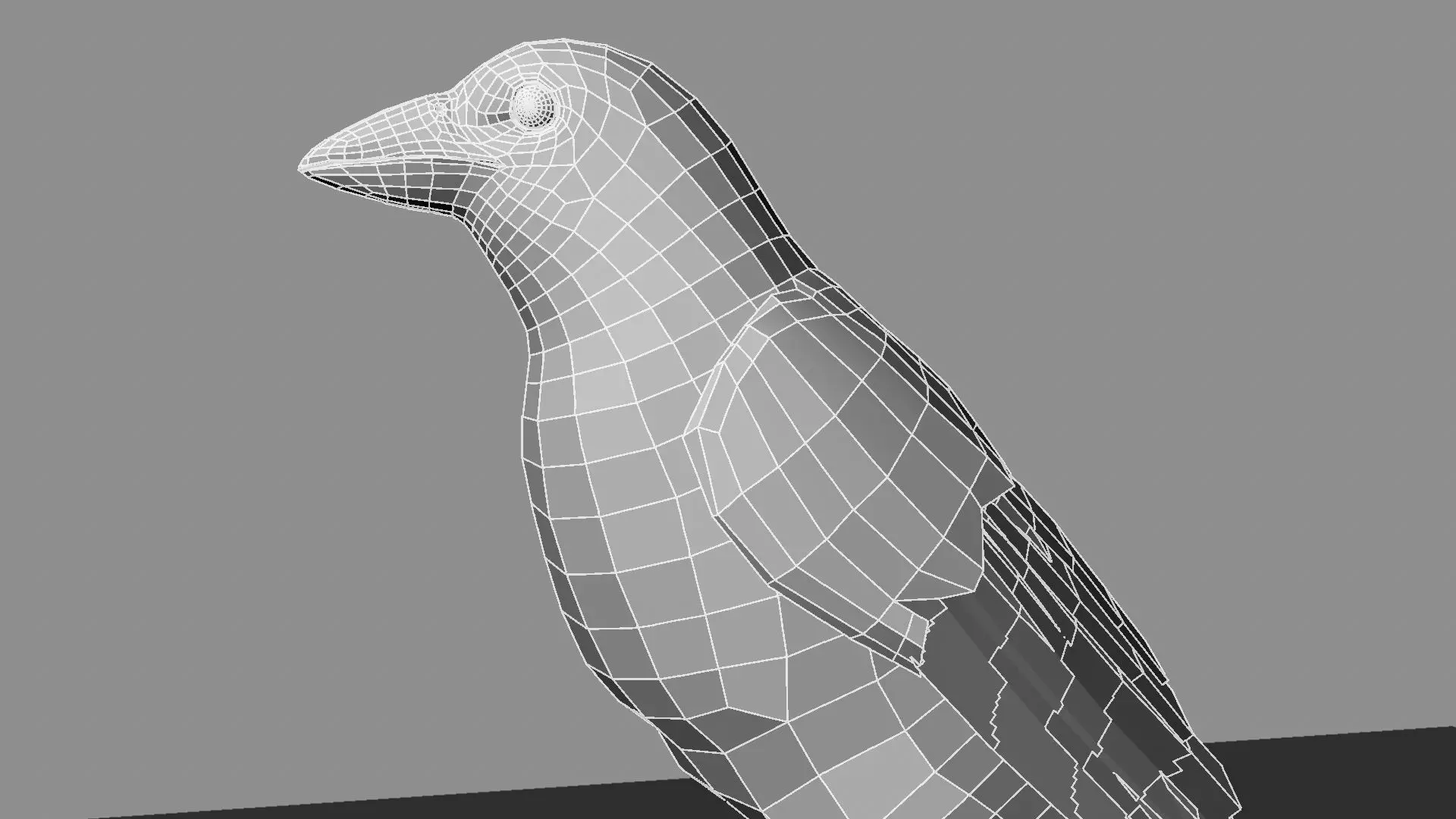 Blue winged mountain tanager close wings 3D model_42