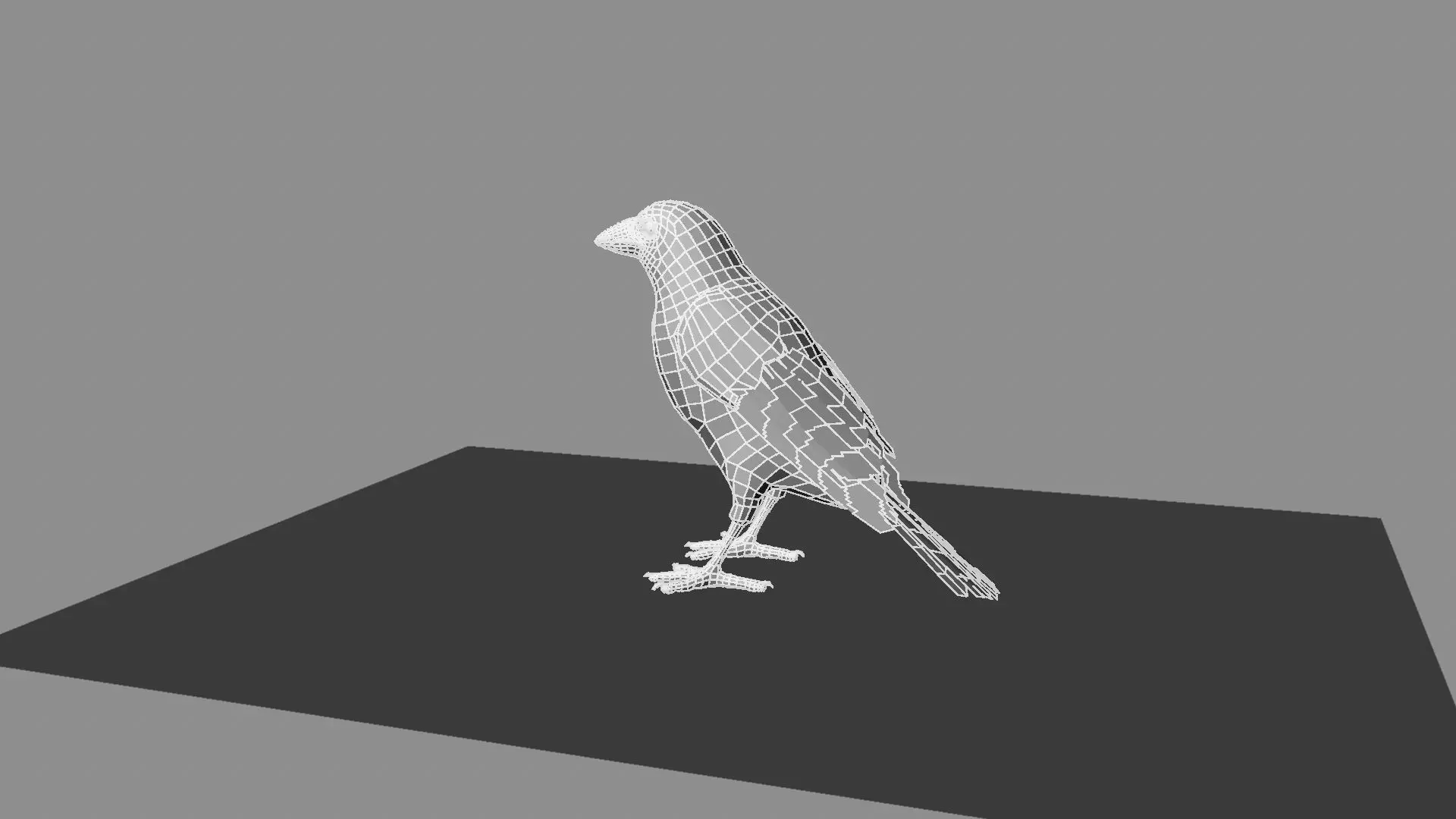 Blue winged mountain tanager close wings 3D model_24