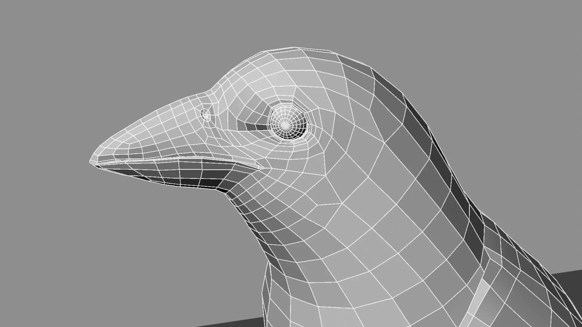 Blue winged mountain tanager close wings 3D model_36