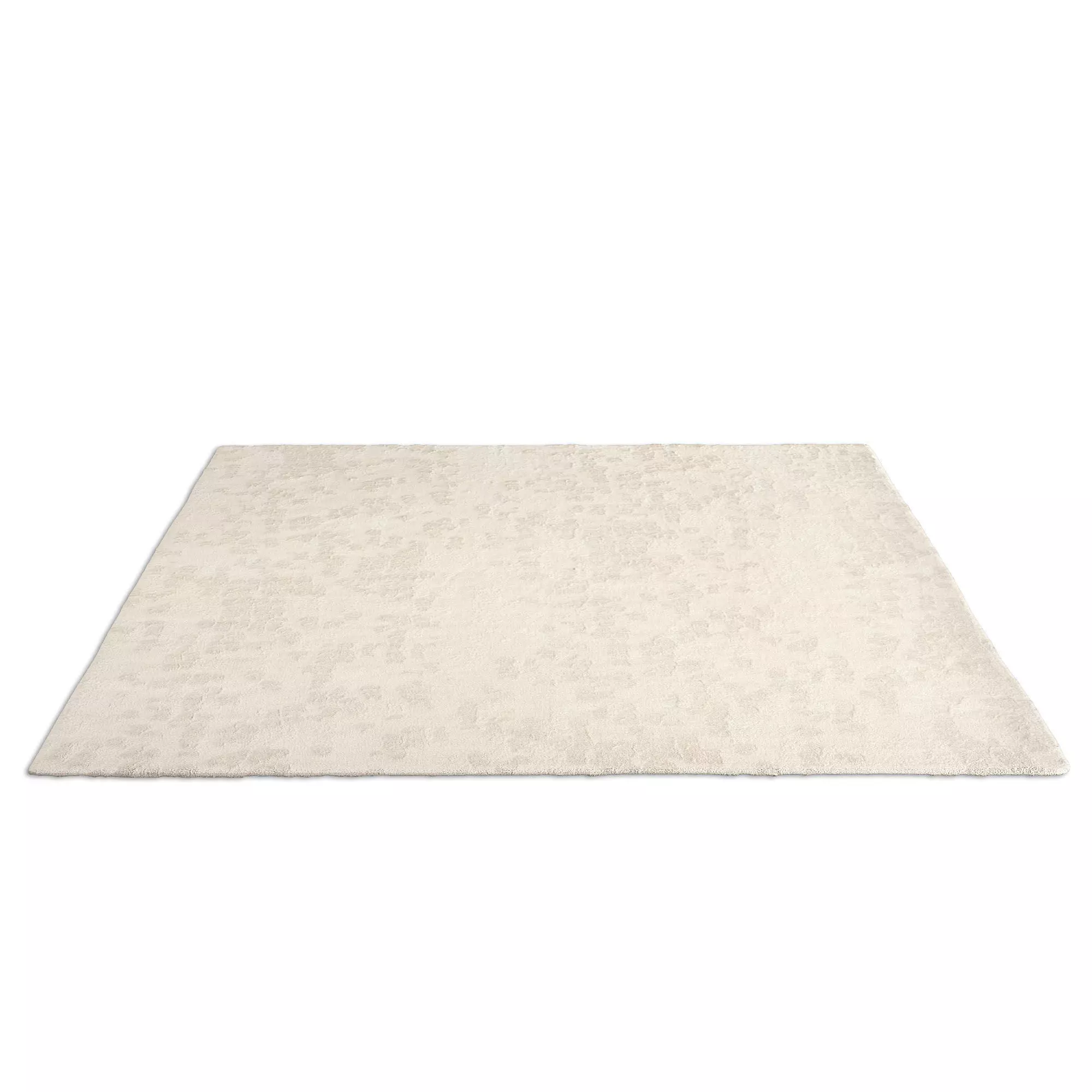 Chana Wool Rug Natural 3D model_2
