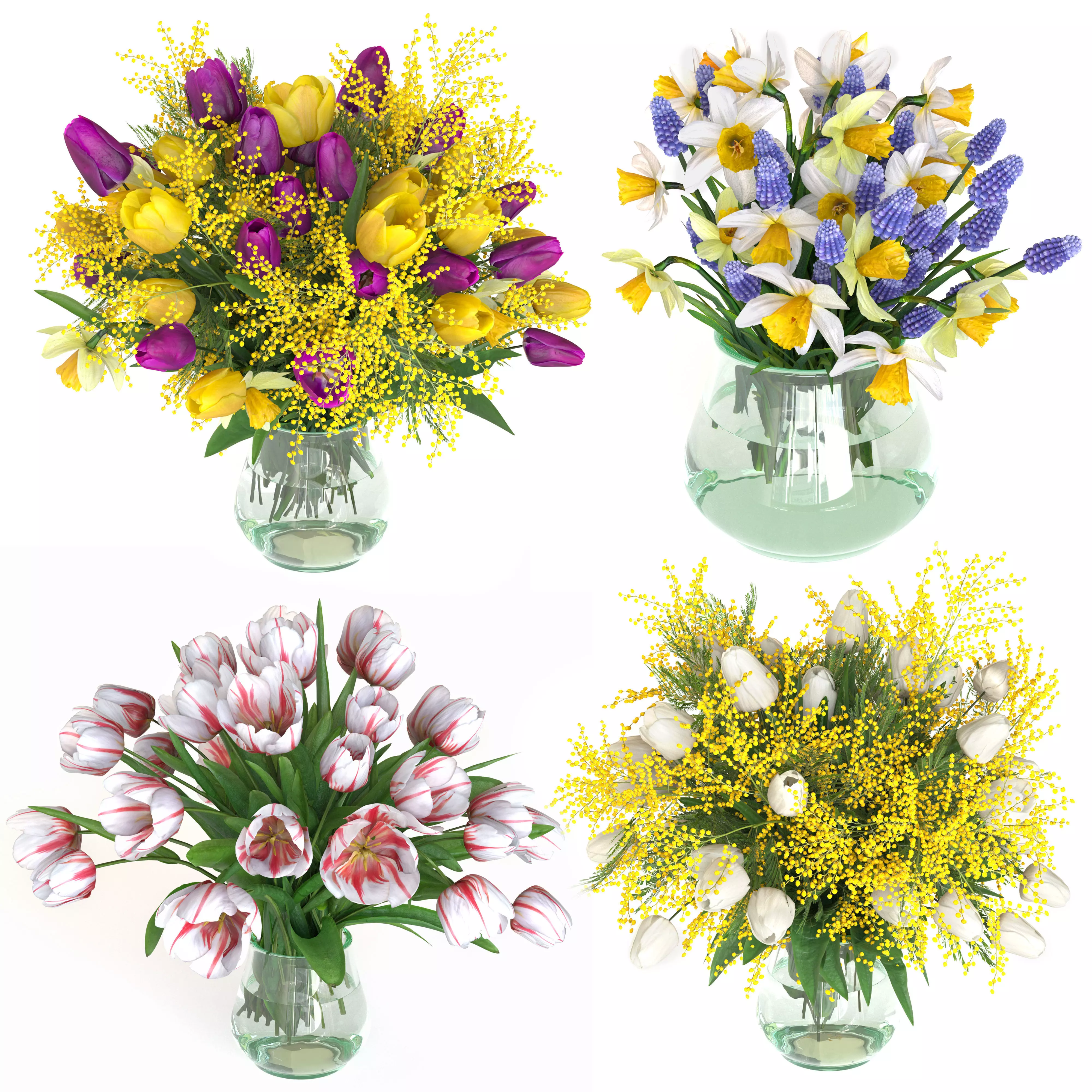 Bouquets of tulips narcissus and mimosa 3D model_5