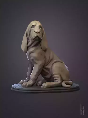 Bloodhound puppy 3D print model