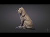 Bloodhound puppy 3D print model_1