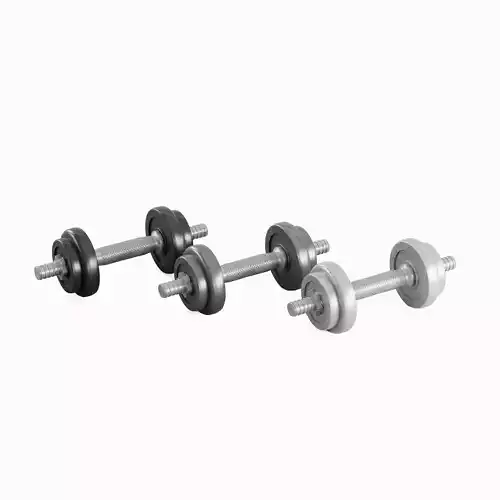 Metal Dumbbell Set Low-poly 3D model Metal Dumbbell Set Low-poly 3D model