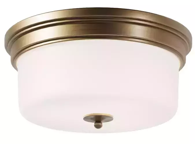 Dantone Home Alonzo Bronze Ceiling Light